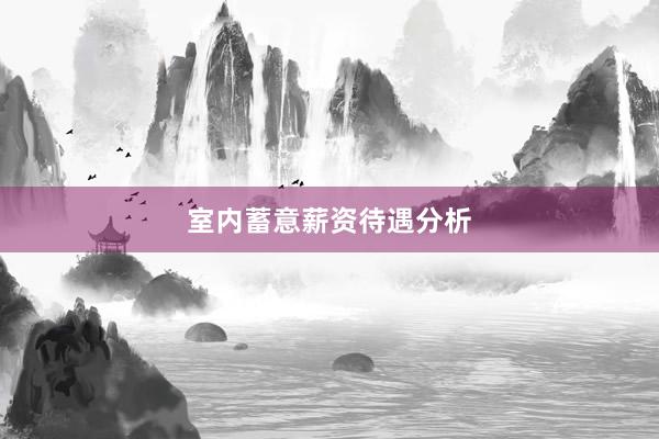 室内蓄意薪资待遇分析